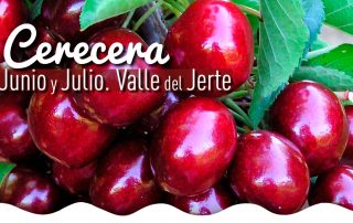 Cerecera-en-el-Valle-del-Jerte-2017