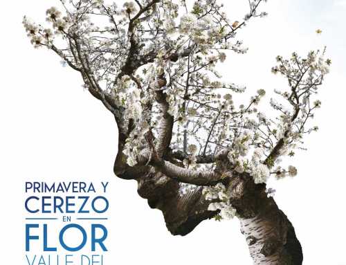 Cerezo en Flor en el Valle del Jerte 2022